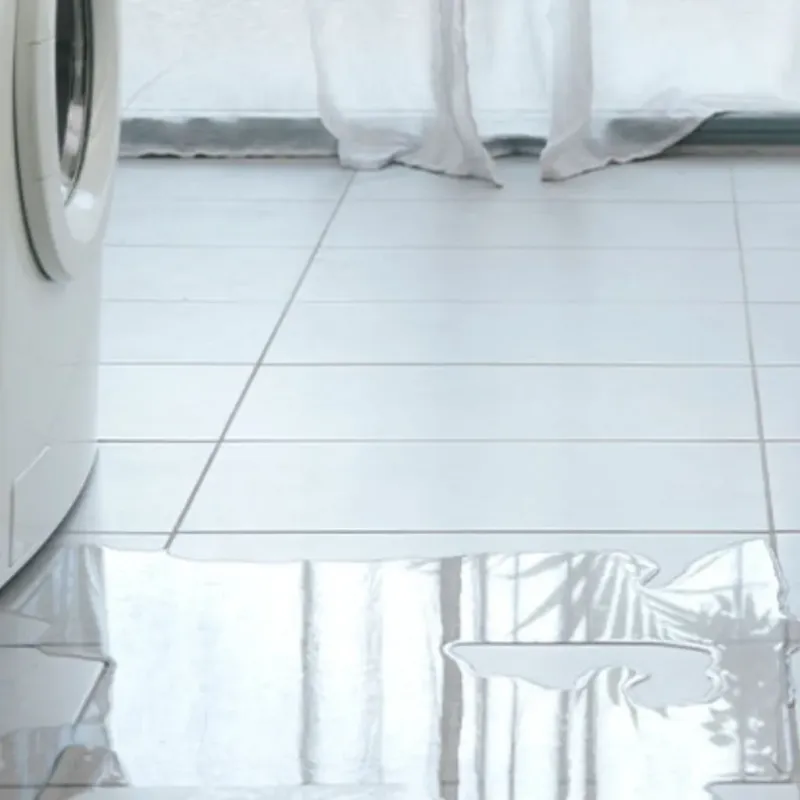 Appliance Leak Cleanup in Waterloo, IL