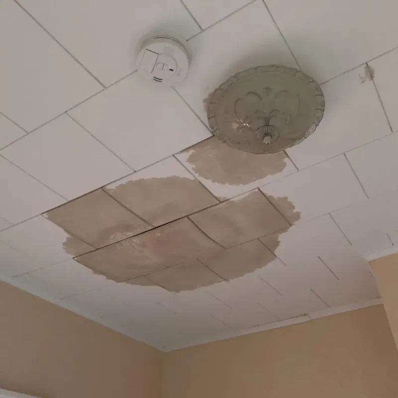 Ceiling Water Damage Repair in Waterloo, IL