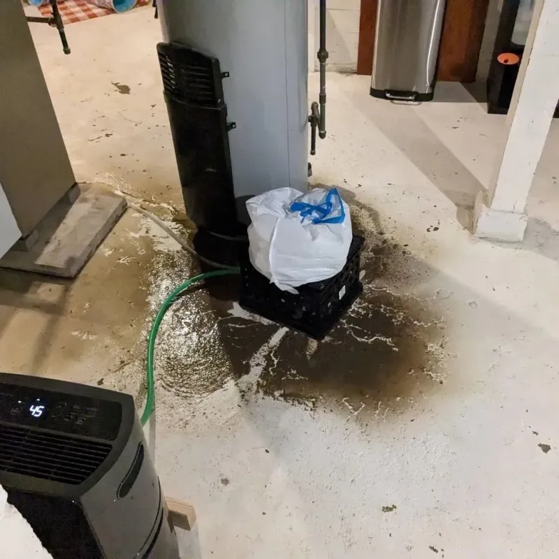 Sewage Backup Cleanup Service in Waterloo, IL